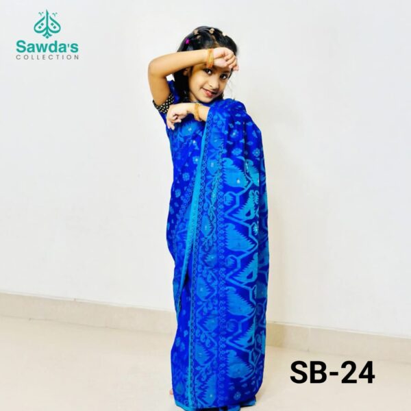 bs 24